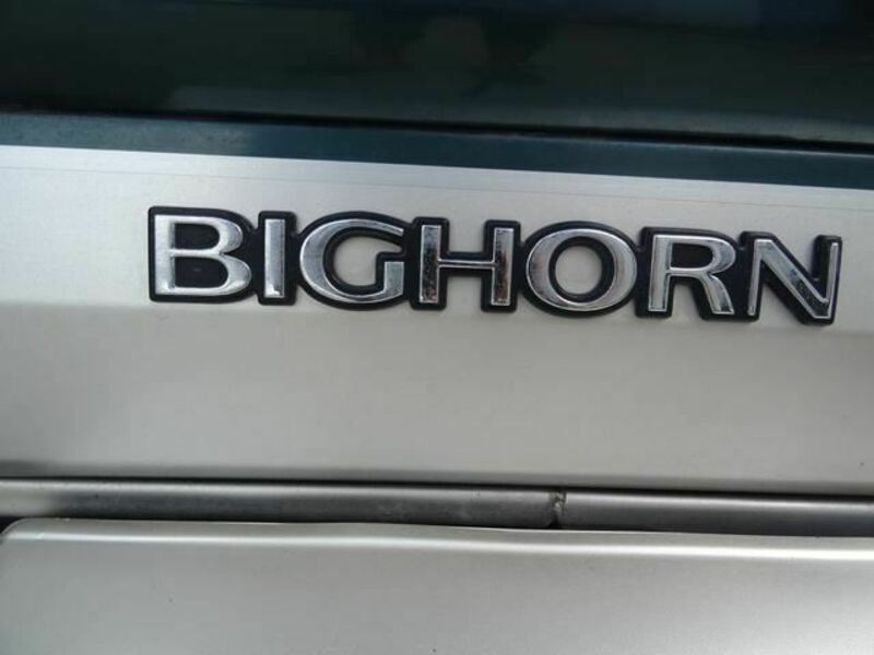 BIGHORN-40