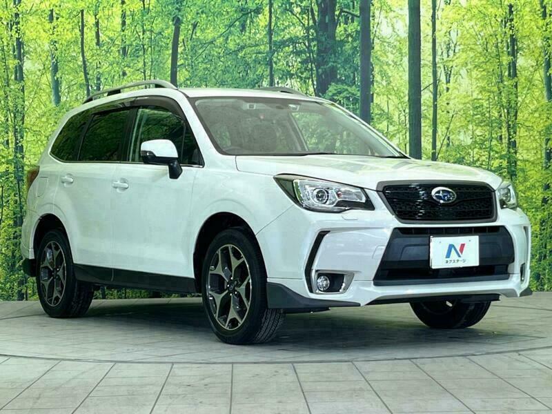 FORESTER-44