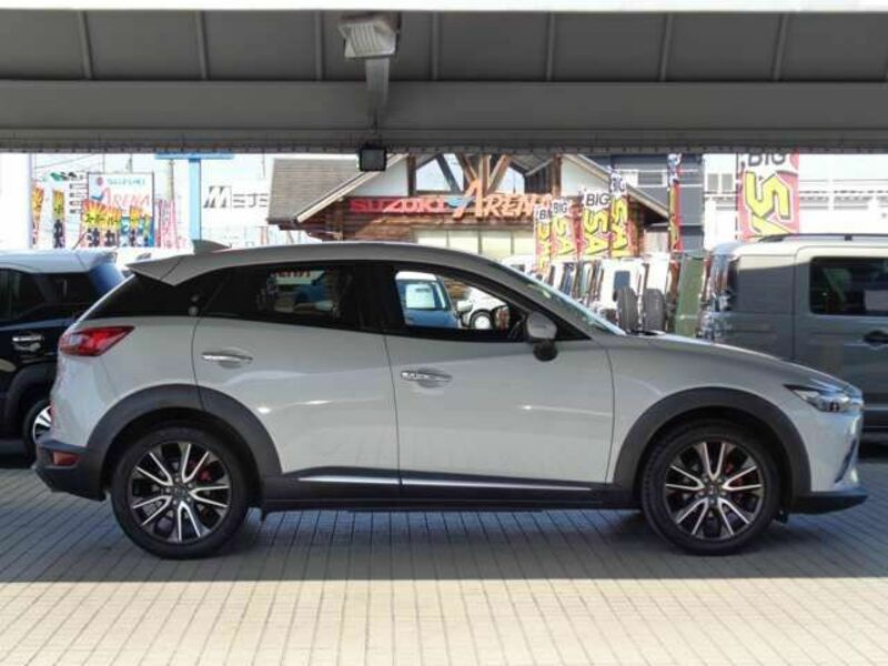 CX-3-10