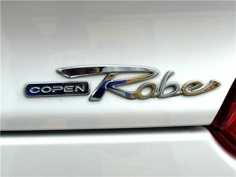 COPEN-17
