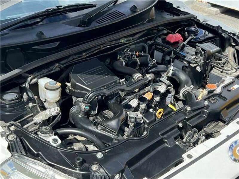 COPEN-29