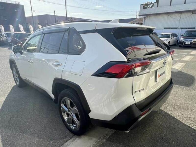 RAV4-9