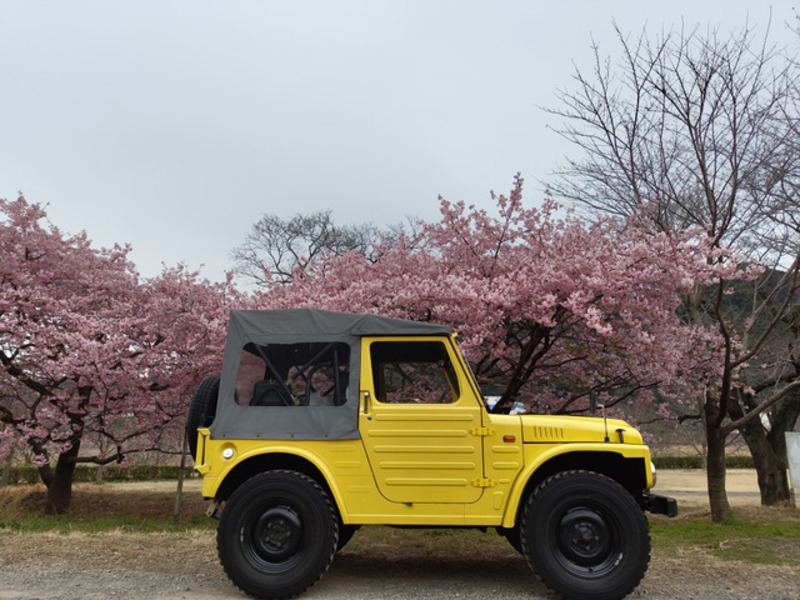JIMNY-9