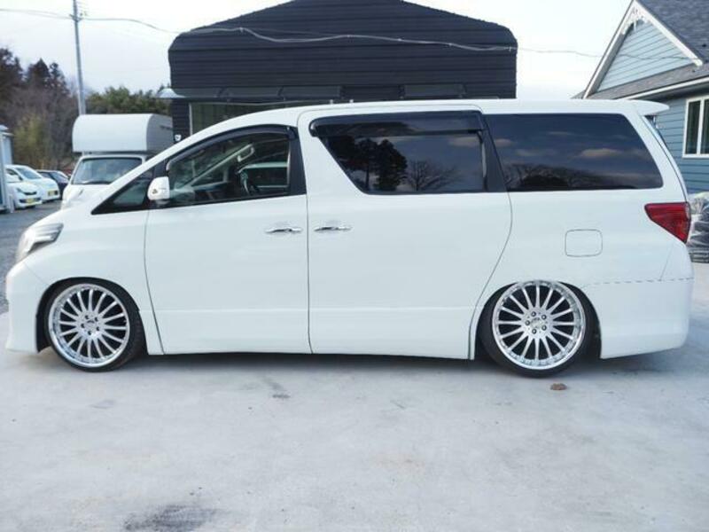 ALPHARD-6