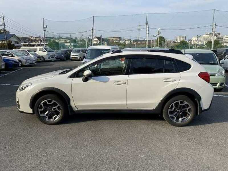 XV