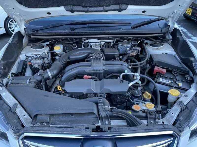 XV