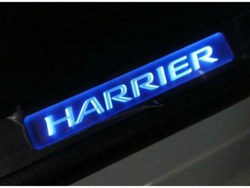 HARRIER-9