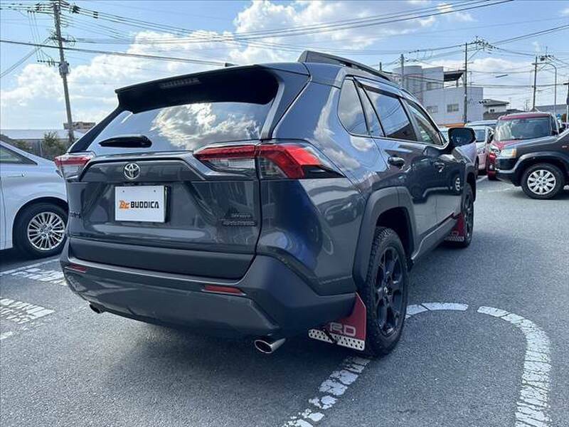 RAV4-1