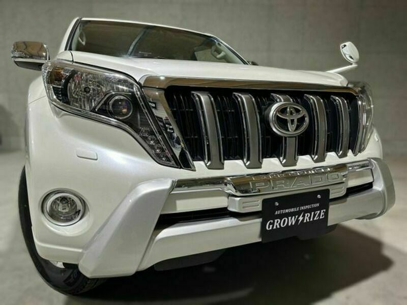 LAND CRUISER PRADO-14