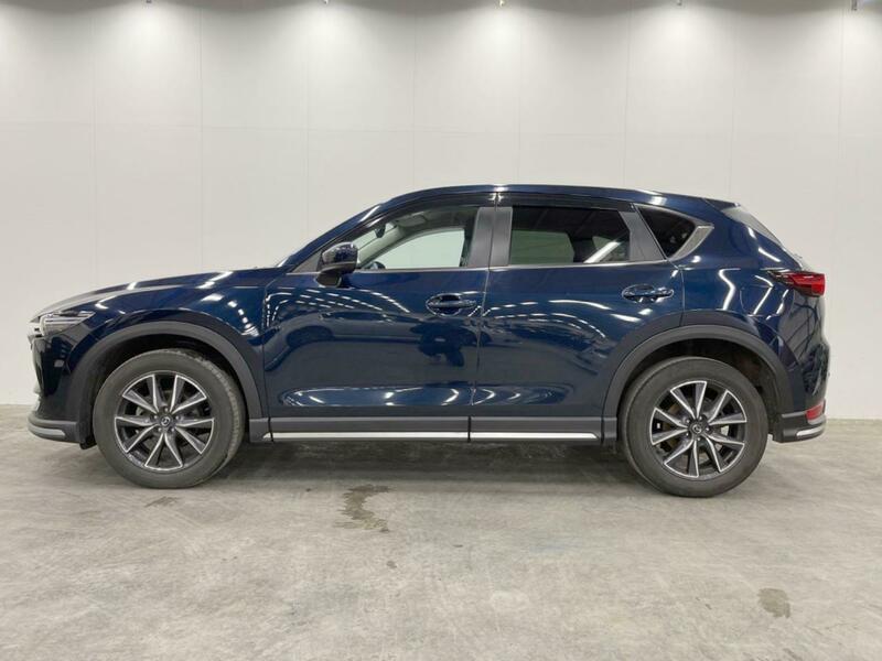 CX-5-81