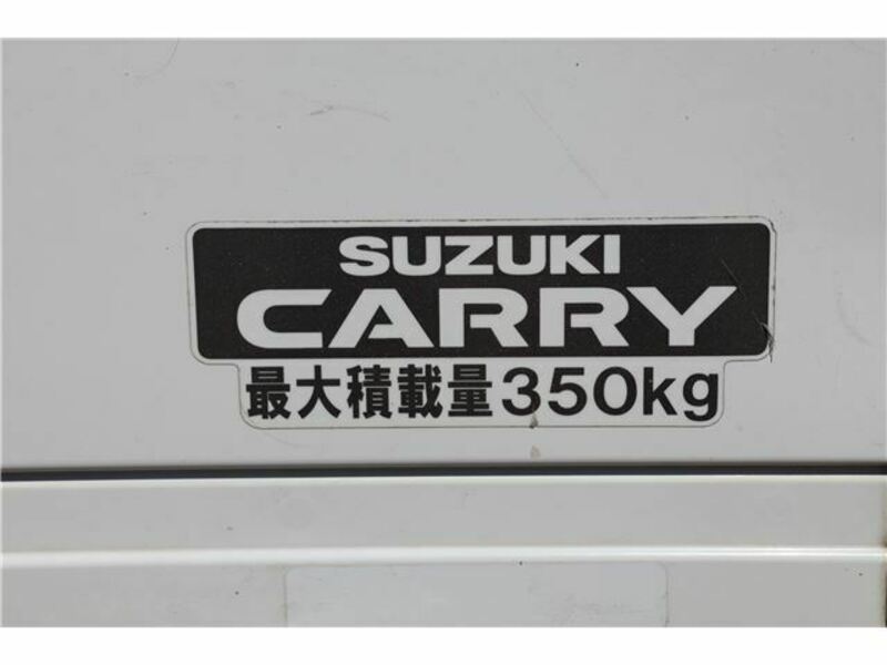 CARRY TRUCK-43