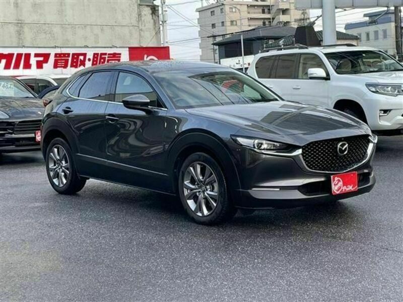 CX-30-2