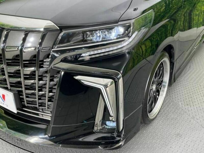 ALPHARD-13