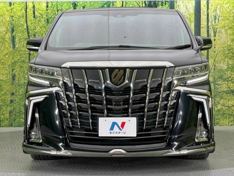 ALPHARD-15