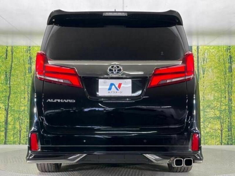 ALPHARD-16