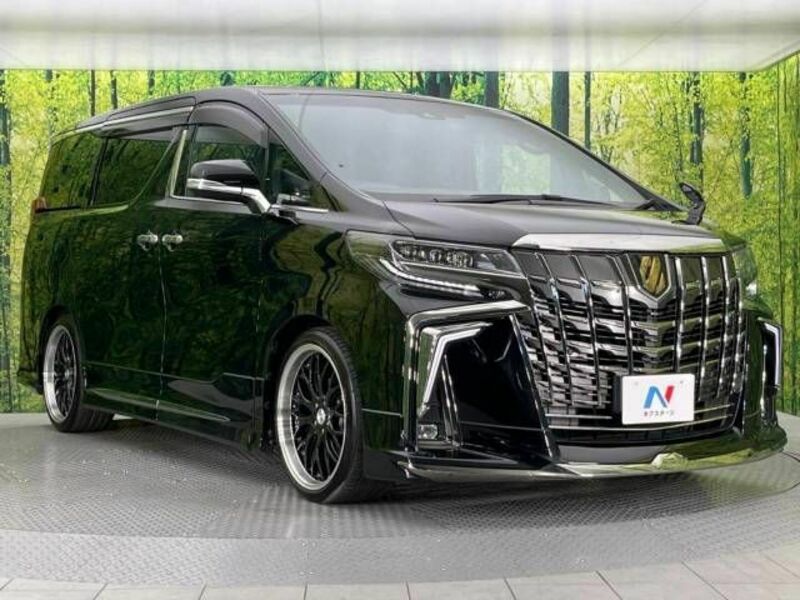 ALPHARD-17