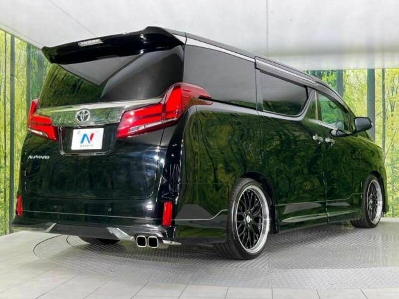 ALPHARD-18