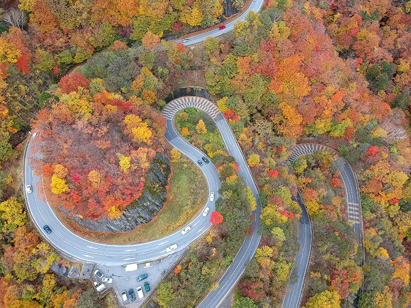 The Beautiful Roads of Irohakaza| SBI Motor Japan | SBI Motor Japan